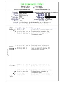 Haltungsprotokoll, grafisch, maßstäblich